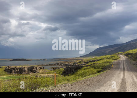 Islanda Westfjords Látrabjarg strada polverosa alla scogliere puffini Foto Stock