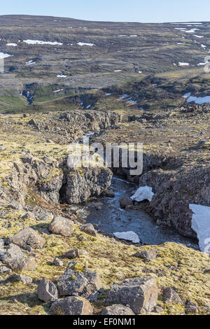 Islanda Westfjords penisola Látrabjarg streaming sul campo di lava Foto Stock