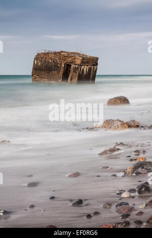 Bunker sulla riva del Mar Baltico. Foto Stock