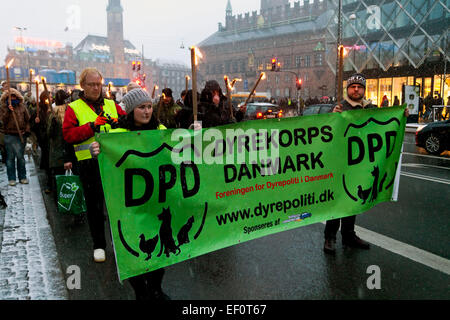 Copenhagen, Danimarca. Il 24 gennaio, 2015. Danese i proprietari del cane in passeggiate nella dimostrazione contro una legge controversa che bersagli cosiddetto "cani pericolosi". La legge vieta 13 razze di cani che i legislatori considera pericoloso e in caso di morsi di cane colpisce ingiustamente i cani grandi, essi contestatori dice. Credito: OJPHOTOS/Alamy Live News Foto Stock