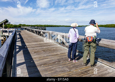 Riviera Beach Florida, North Palm Beach, John D. MacArthur Beach state Park, Lake Worth Lagoon, passerella, acqua, natura, mangrovie, senior senior Citizen cit Foto Stock