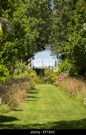 Chiesa Happisburgh visto attraverso un interstizio tra gli alberi a East Ruston Old Vicarage Gardens, Norfolk Foto Stock