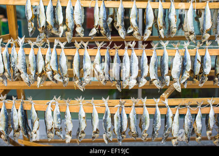 Mercato del pesce con secchi salati ad Istanbul in Turchia Foto Stock