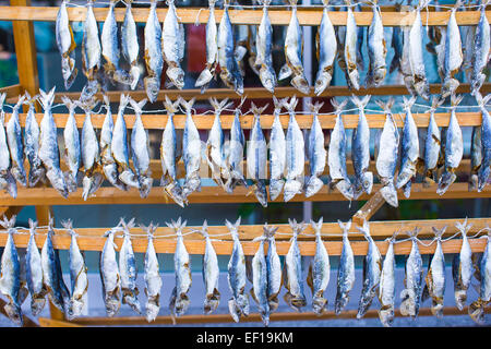 Mercato del pesce con secchi salati ad Istanbul in Turchia Foto Stock