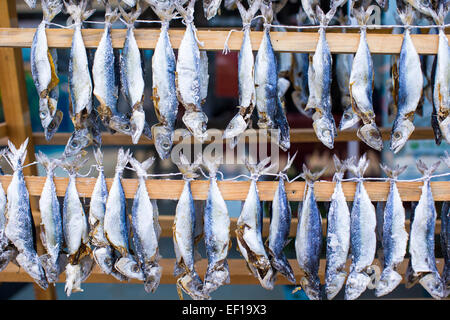 Mercato del pesce con secchi salati ad Istanbul in Turchia Foto Stock