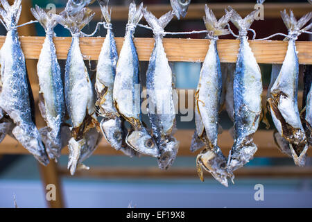 Mercato del pesce con secchi salati ad Istanbul in Turchia Foto Stock