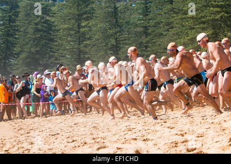 Sydney, Australia. 25 gennaio, 2015. Questo è l'Oceano quarantunesima gara di nuoto da Palm Beach Pavillion al centro della spiaggia di balene,Sydne Foto Stock