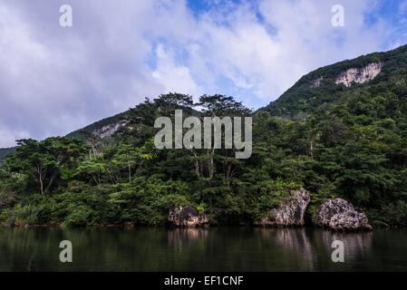 Macal fiume che scorre attraverso lussureggianti giungle del Belize, America centrale. Foto Stock