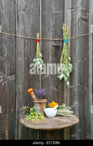 Mortai sulla vecchia tabella e vari medici la medicina di erbe fiori estivi Foto Stock