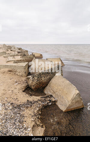 Rovine di abbandonato militare sovietica fortificazioni di spiaggia che cadono in mare di Capo Kolka, Lettonia Foto Stock