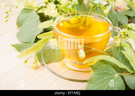 I fiori di tiglio e la tazza di tè sano, medicine a base di erbe Foto Stock