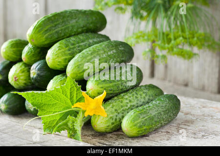 Cetrioli con fiore giallo, foglie di aneto e su sfondo di legno Foto Stock