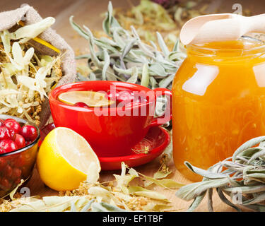 Mirtilli rossi, un vasetto con miele, frutta tazza da tè, erbe curative e limone Foto Stock