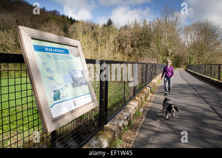 Tarka Trail; vicino a Torrington; ponte sopra il fiume Torridge; Devon, Regno Unito Foto Stock