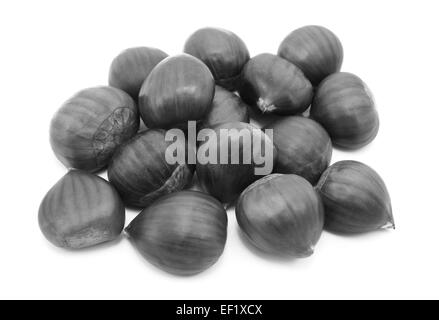 Le castagne in gusci, isolato su uno sfondo bianco - elaborazione monocromatica Foto Stock