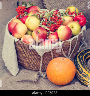 Le mele nel cesto di vimini, zucca, midollo e rowan berry. Autunno ancora in vita. Foto Stock