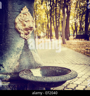 Acqua pubblica Fontana nel parco in forma di testa di leone con acqua corrente Foto Stock