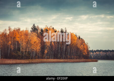 Autunno foresta con alberi di giallo e il lago. Parco nazionale di 'Narochansky'. Laghi blu. La Bielorussia. Retrò stilizzato. Effetto tonificante. Foto Stock