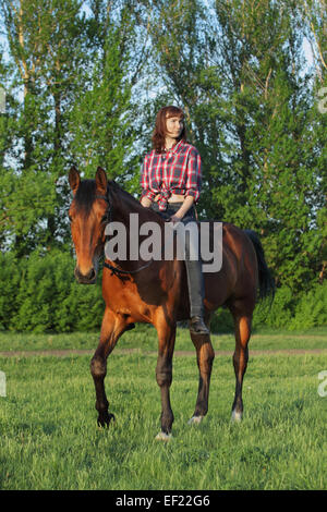 Bella donna bionda di equitazione bareback in sera, campo Foto Stock