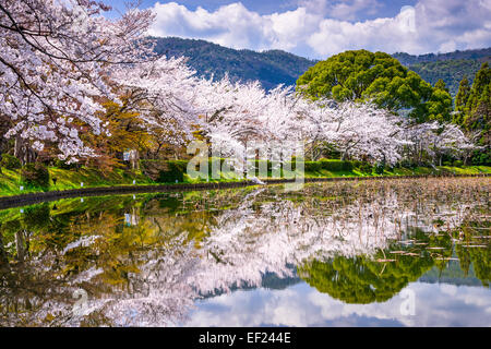 Il fogliame di primavera a Kyoto, Giappone nel quartiere Arashiyama. Foto Stock
