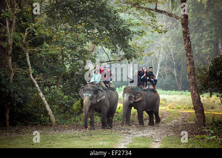 I turisti a jungle safari in elefante - Chitwan National Park - Nepal. Foto Stock