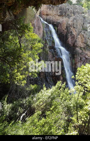 Tulbagh cascata visto da una sporgenza di roccia Foto Stock