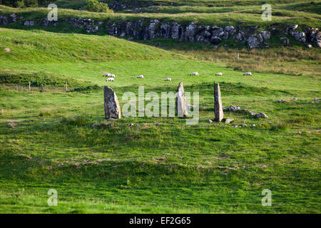 L antico cerchio di pietra vicino al castello di Glengorm in Tobermory, Isle of Mull, Scozia Foto Stock