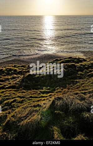 Grange lombata, Isle of Wight, convoglia acqua di ruscello Buddle Brighstone vicino al mare adiacente alla Grange Farm e passo di vacanza Foto Stock