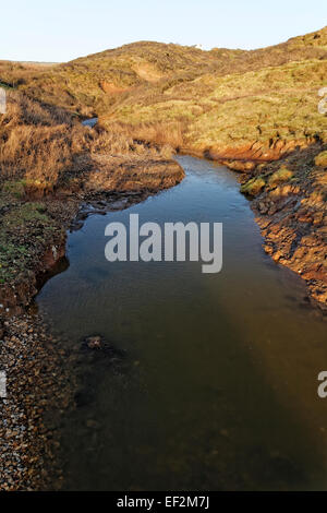 Grange lombata, Isle of Wight, convoglia acqua di ruscello Buddle Brighstone vicino al mare adiacente alla Grange Farm e passo di vacanza Foto Stock