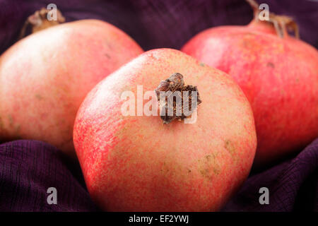 Melograni Foto Stock