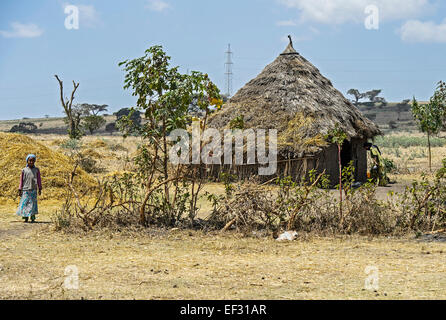 Con il tetto di paglia capanna di Oromo, Arsiè Regione Oromia, Etiopia Foto Stock