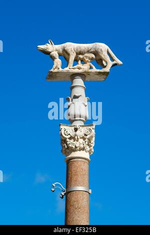 Pilastro della lupa con Romolo e Remo di fronte al Duomo di Siena, Cattedrale di Santa Maria Assunta, Siena Foto Stock