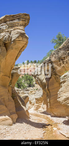 Sentiero escursionistico attraverso willis creek canyon, kanab, Utah, Stati Uniti Foto Stock