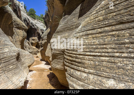 Sentiero escursionistico attraverso willis creek canyon, kanab, Utah, Stati Uniti Foto Stock