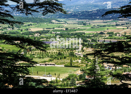 Bonnieux è un comune nel dipartimento di Vaucluse nella regione Provenza-Alpi-Costa azzurra nel sud della Francia. Nella pianura b Foto Stock