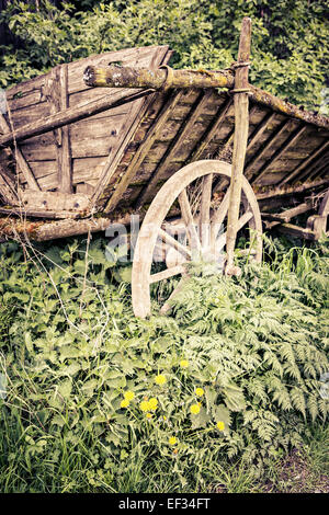 Diversi i fiori e gli oggetti vintage in un vecchio cortile da primavera vicino a Coburg, Germania Foto Stock