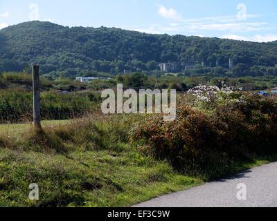 Il castello di Gwrych nelle colline Foto Stock