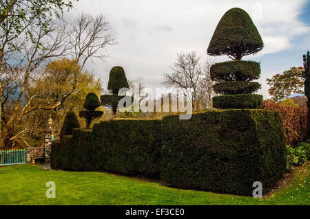 Topiaria da, Plas Brodanw giardino, il Galles del Nord Foto Stock