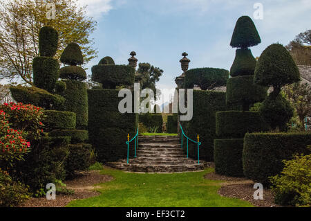 Topiaria da e passaggi, Plas Brodanw giardino, il Galles del Nord Foto Stock