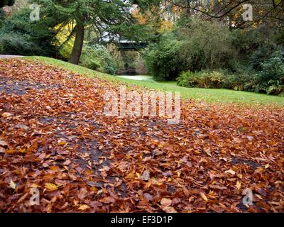 Foglie di autunno sul terreno e boschi e un ponte in background Foto Stock