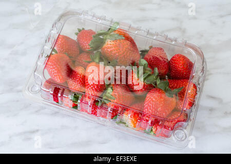 Fragole fresche in una scatola di plastica trasparente su un fondale di marmo. Foto Stock