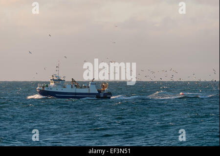 Trawler visto tra Sandvik e Hafnir, Islanda. Foto Stock