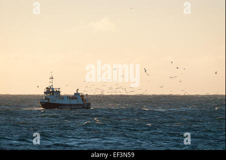 Trawler visto tra Sandvik e Hafnir, Islanda. Foto Stock