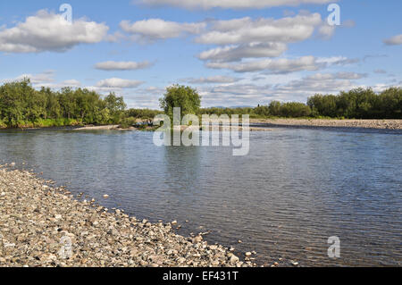 Pebble sponde del fiume. Polar Ural, Repubblica di Komi, Russia. Foto Stock