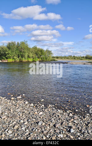 Pebble sponde del fiume. Polar Ural, Repubblica di Komi, Russia. Foto Stock