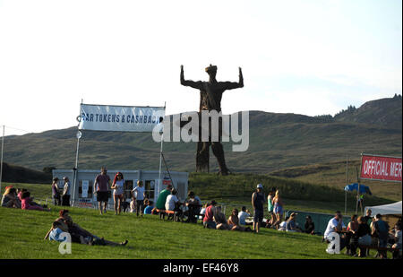 Il Festival Wickerman 2014 - Giorno 1- atmosfera dove: Dumfries, Regno Unito quando: 24 Lug 2014 Foto Stock