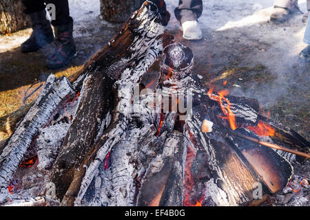 Tostatura Marshmallow su un fuoco di legno aperto Foto Stock