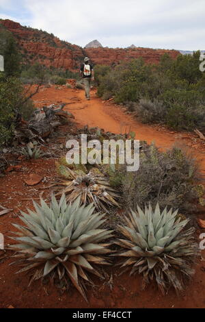 Escursioni al tramonto sulla freccia tratteggiata trail a Sedona, in Arizona foto di jen lombardo Foto Stock