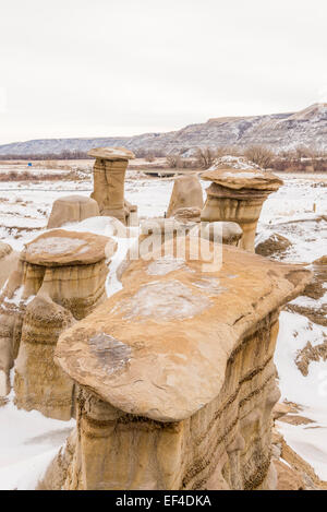 Badlands, hoodoos in inverno, Willow Creek, Drumheller, Alberta, Canada Foto Stock