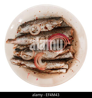 Le sardine oleoso con cipolla Foto Stock